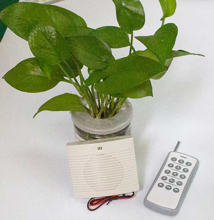 无线遥？？？？丶苹