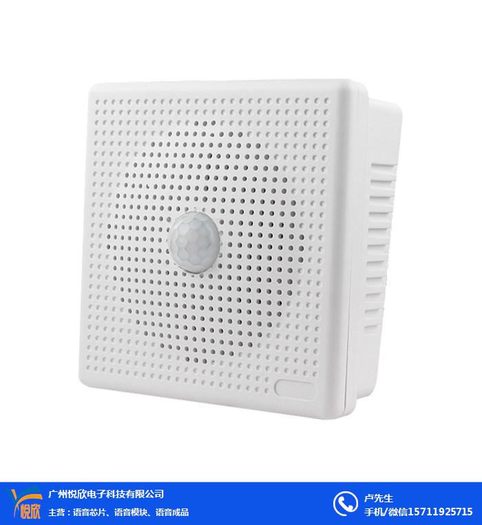 YX60红外语音提醒器2019DB电竞清静语音感应提醒人体感应喇叭的价钱有图.jpg